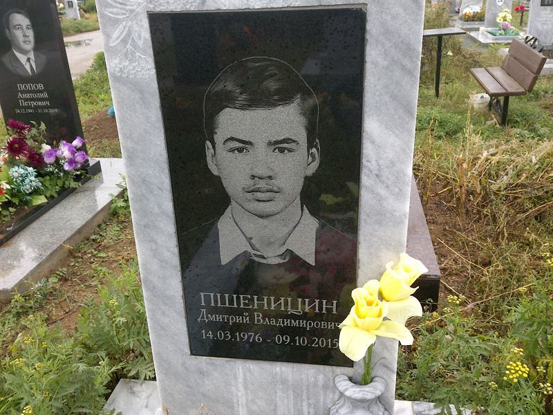 Пшеницин