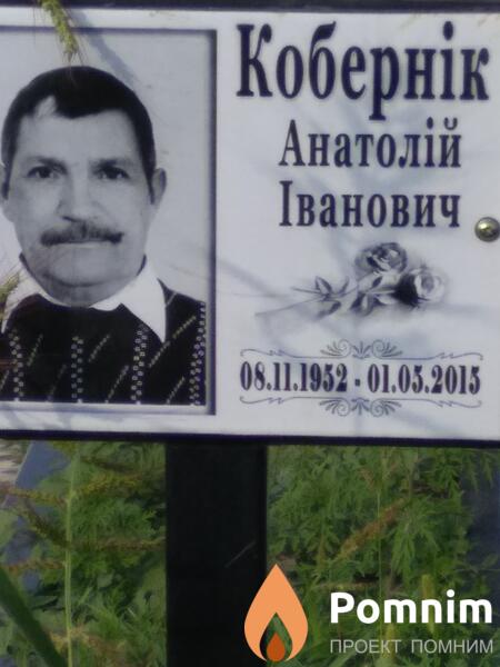 Кобернік Анатолій Іванович