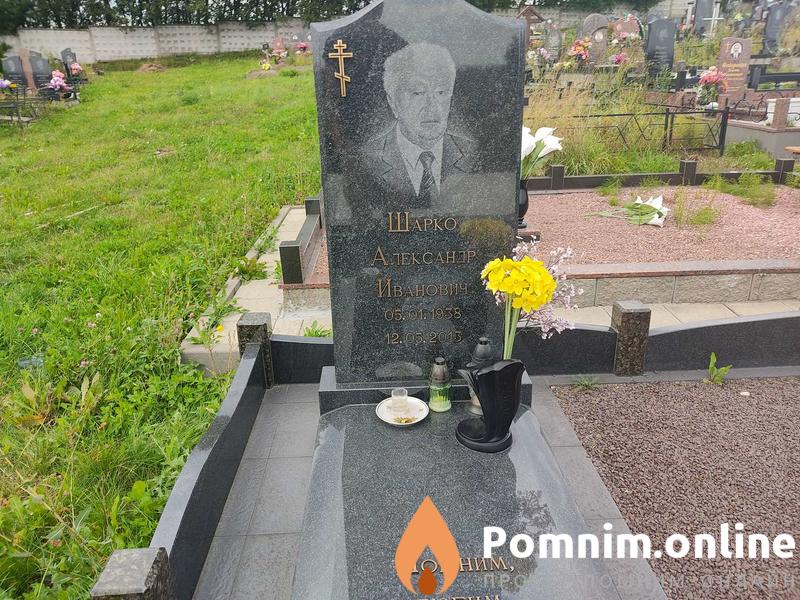 Шарко Александр Иванович