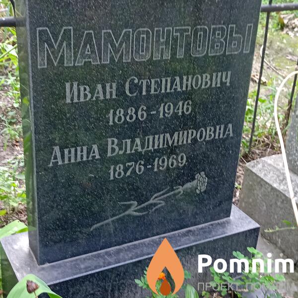 Мамонтова Анна Владимировна