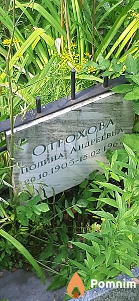 Огрохова Полина Андреевна