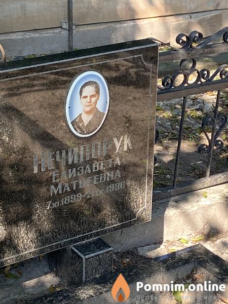 Ничипорук Елизавета Матвеевна