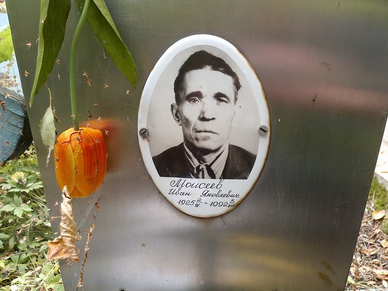 Моисеев