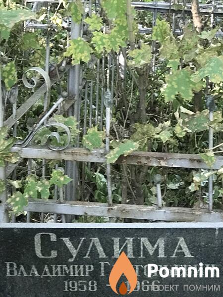 Сулима Владимир Григорьевич