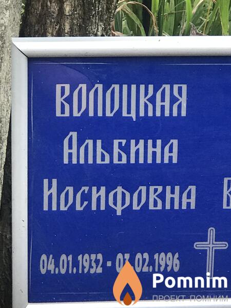 Волоцкая Альбина Носнфовна