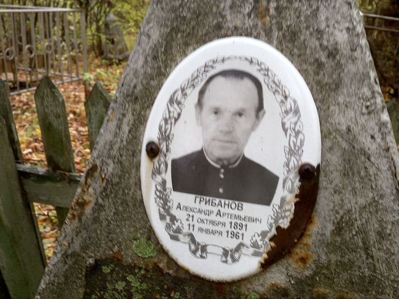 Грибанов