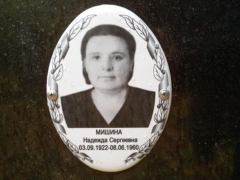 Мишина