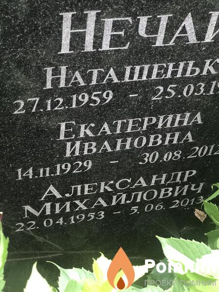 Нечай Александр Михайлович