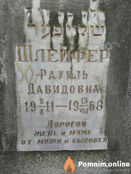 Шлейфер Рахиль Давидовна