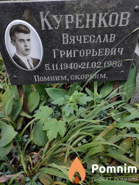 Куренков Вячеслав Григорьевич