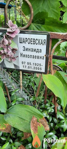 Шароевская Зинаида Николаевна