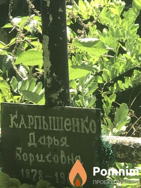 Карпышенко Дарья Корисовна