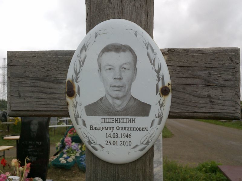 Пшеницин