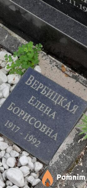 Вербицкая Елена Борисовна