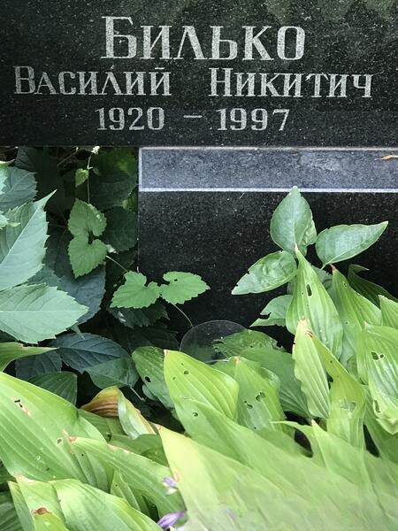 Билько Василий