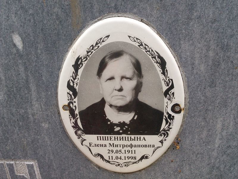Пшеницына