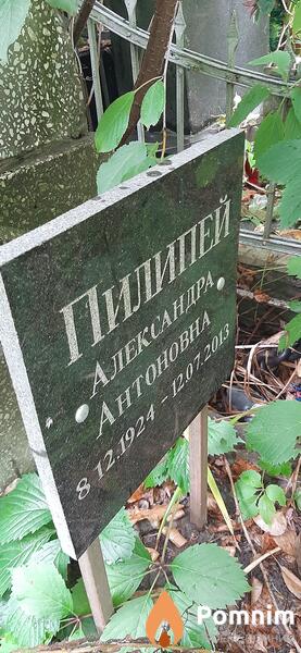 Пилипей Александра Антоновна