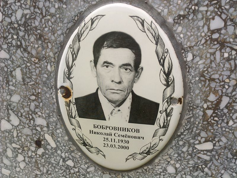 Бобровников