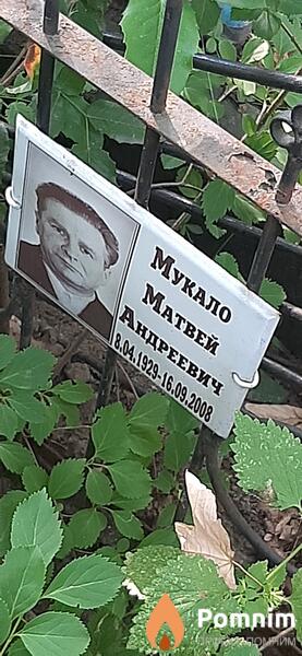 Мукало Матвей Адреевич