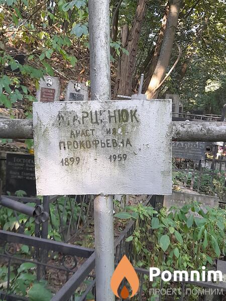 Марценюк Анастасия Прокофьева
