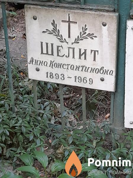 Шелит Анна Константиновна