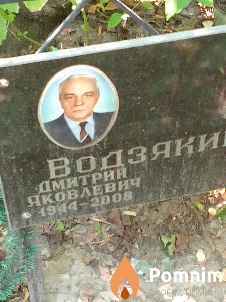 Водзякин Дмитрий Яковлевич