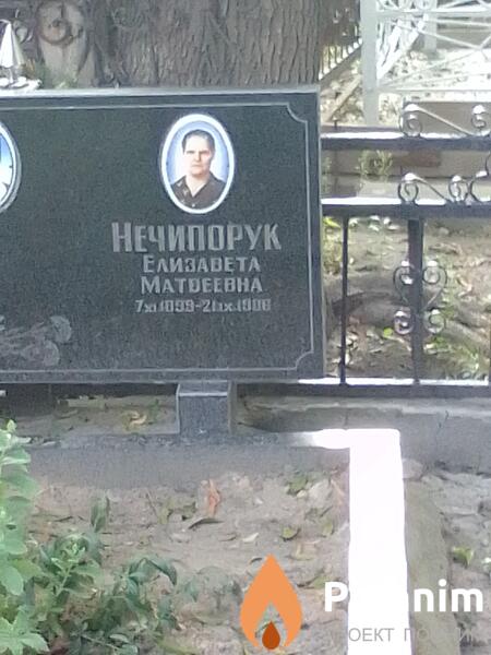 Нечипорук Елизавета Матвеевна