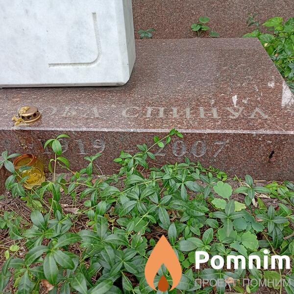 Спинул Любовь