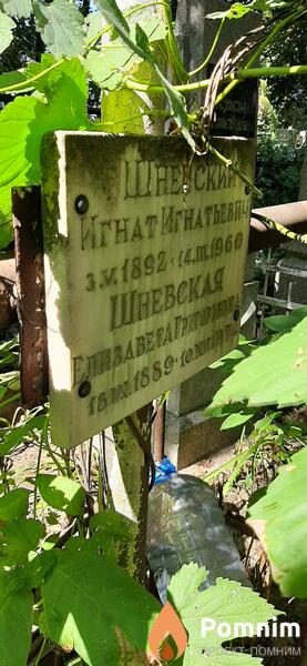 Шневская Елизавета Григорьевна