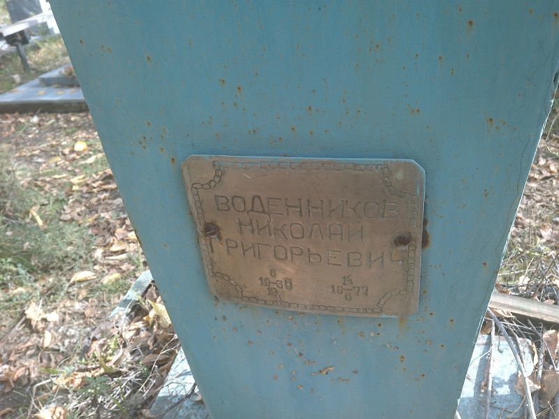 Воденников