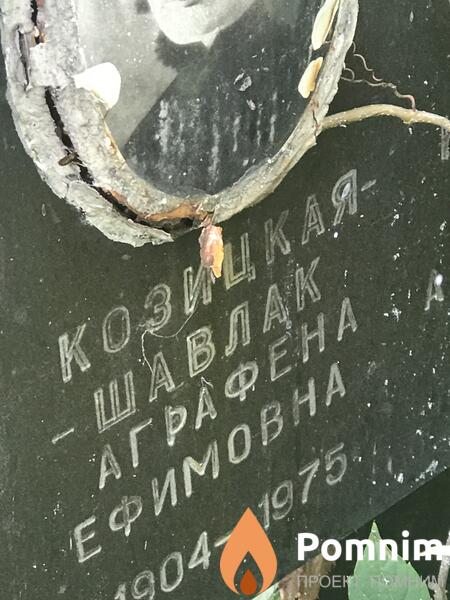 Козицкаяшавлак Аграфена Ефимовна
