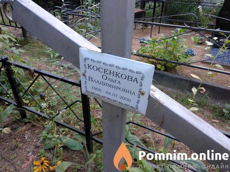 Косенкова Ольга Владимировна