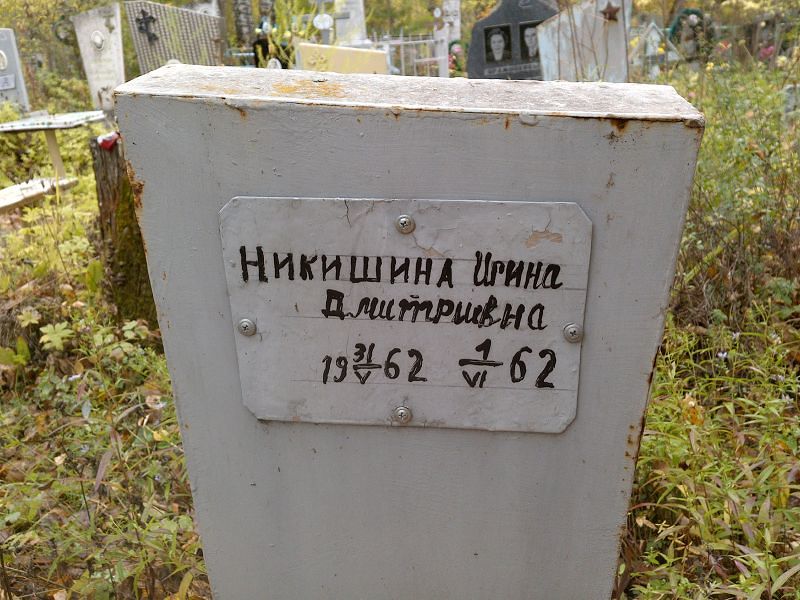 Никишина