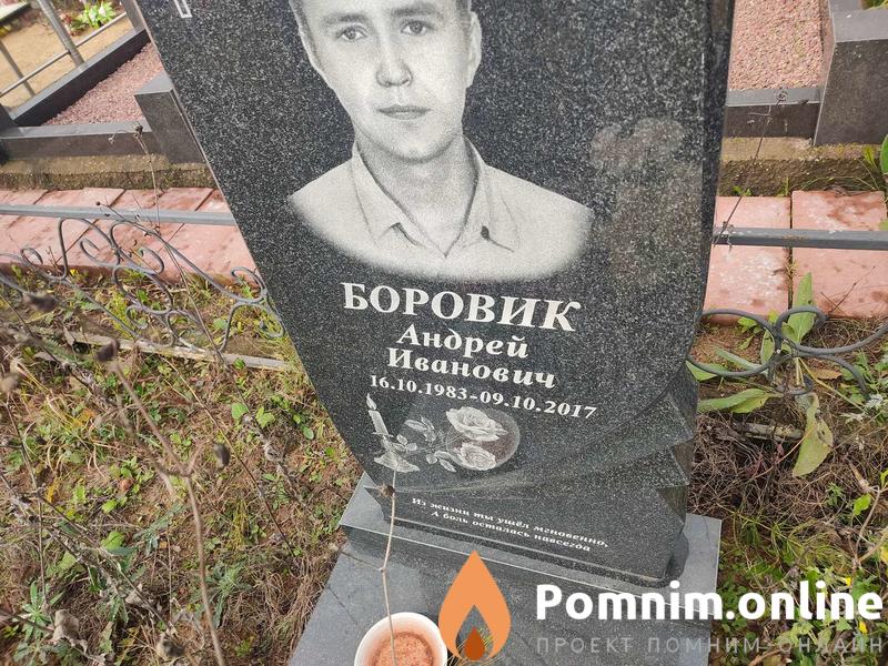 Боровик Андрей Иванович