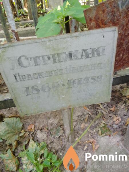 Стрижак Прасковья