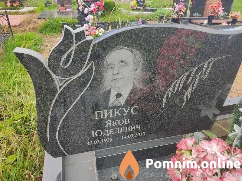 Пикус Яков Юделевич