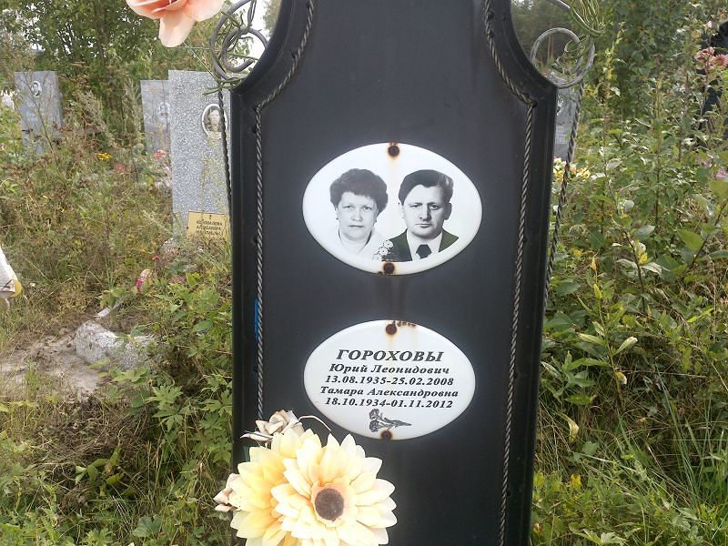 Горохова