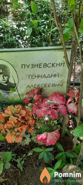 Пузиевский Геннадий Алексеевич