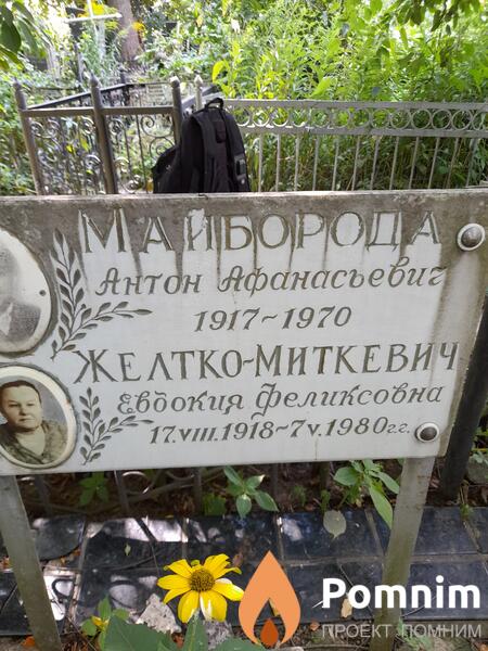 Желткомиткевич Евдокия Феликсовна