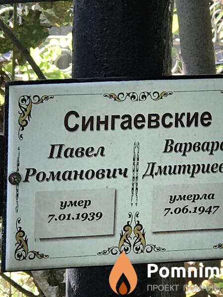 Сингаевский Роман Романович