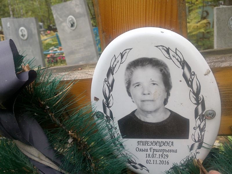 Пшеницина