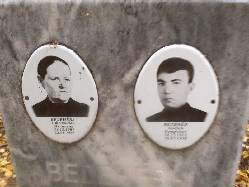 Веденев