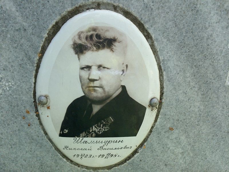 Шамшурин