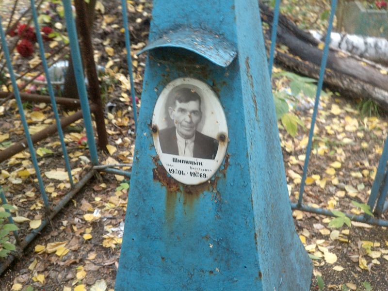 Шипицын