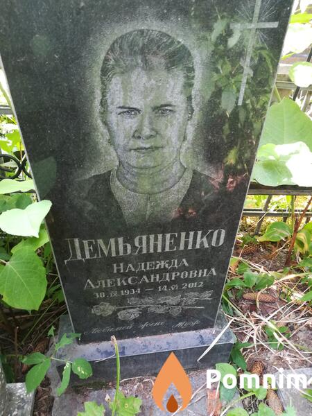 Демьяненко Надежда Александровна