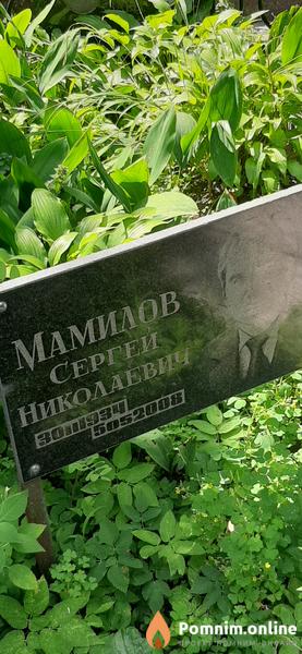 Мамилов Сергей Николаевич