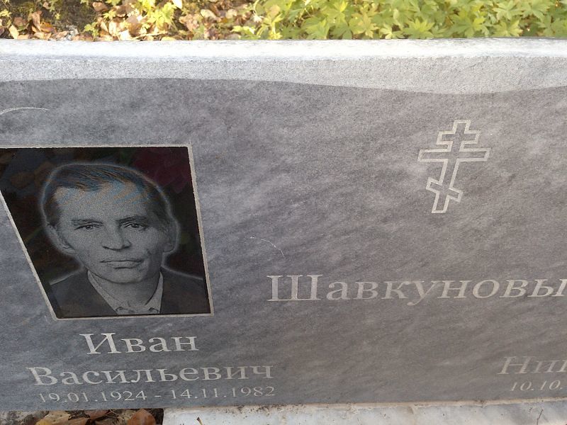 Шавкунов