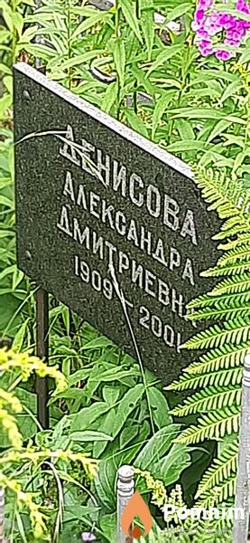 Денисова Александра Диитриевна