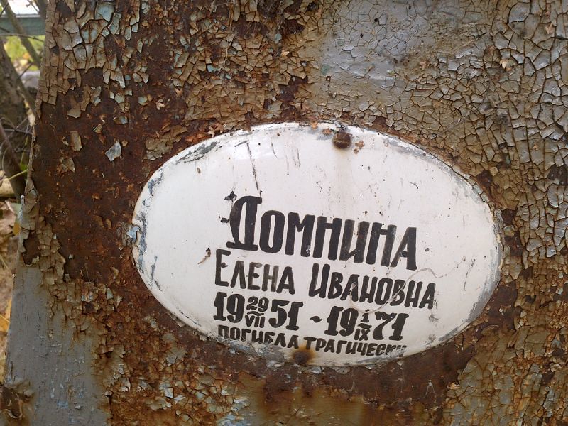 Домнина