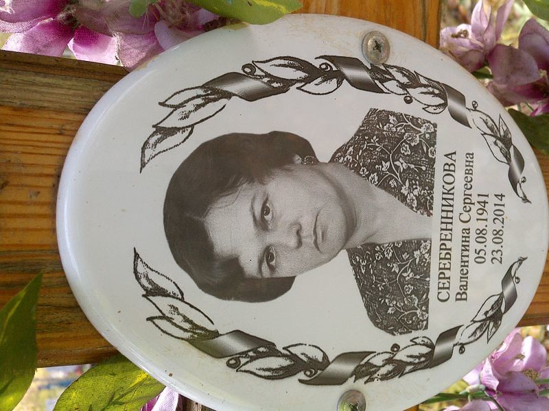 Серебренникова